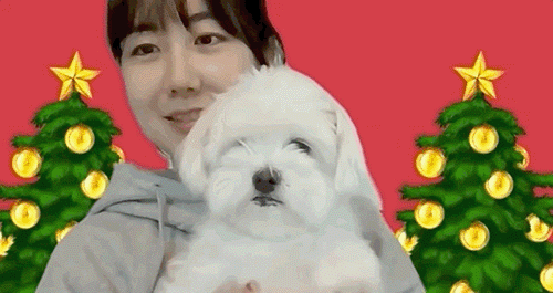 Dec-17-2020 16-38-18.gif